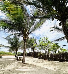 a picnic table under a palm tree on a beach at La Casita Atins in Atins
