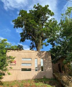 ein Gebäude mit einem Baum darüber in der Unterkunft Posada El Ceibo in Puerto Iguazú