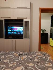 um quarto com uma cama e uma televisão em Stancicmilena em Pozarevac