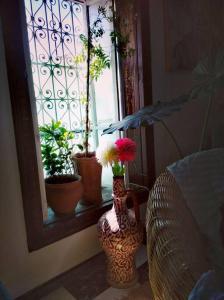 un jarrón con flores en una ventana con macetas en Cosy House Tetouan's Old Medina Centre - La Casita en Zradna
