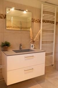 a bathroom with a sink and a mirror at Appartement dans maison de campagne lumineuse in Orange
