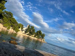 a large body of water with trees on the shore at Apartments Villa De Blue in Bol