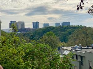 widok na panoramę miasta z drzewami i budynkami w obiekcie Rue Des Glacis Limpertsberg w Luksemburgu