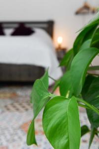 普里茅斯的住宿－LUCKY TOR，卧室里绿树成荫,设有床