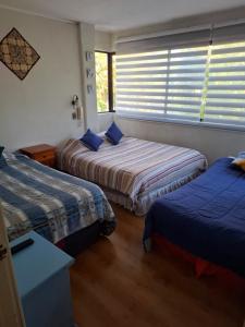 ein Hotelzimmer mit 2 Betten und einem Fenster in der Unterkunft Alojamiento Céntrico 24 hrs. con estacionamiento in Chillán