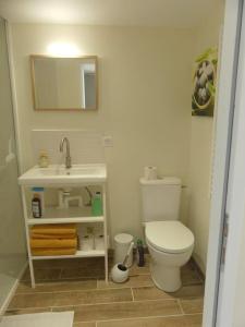 La salle de bains est pourvue de toilettes blanches et d'un lavabo. dans l'établissement Petite maison porte de l'océan, à Saint-Mathurin