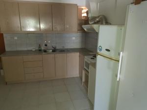 een keuken met witte apparatuur en een witte koelkast bij Blue Sky Apartments I in Makry Gialos