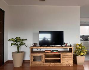 a tv sitting on top of a wooden entertainment center at Ushuaia 1 in Rosario