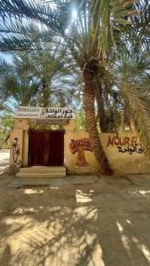 a building with a palm tree next to a building with graffiti at Nour El Waha Hotel in Siwa