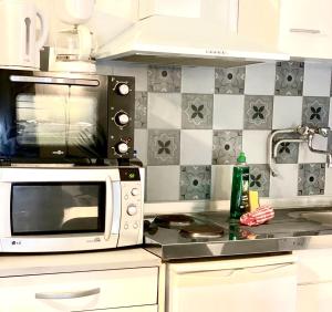 a microwave oven sitting on top of a kitchen counter at Chez Florian in Carcassonne