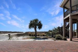 a palm tree in front of a building at The Blue Turtle by Pristine Properties Vacation Rentals in Mexico Beach