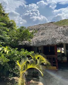 una cabaña de paja con una palmera delante de ella en Ancestral Casa de Campo en Roldanillo