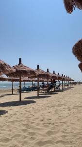 una fila di ombrelloni di paglia su una spiaggia di Beachhouse Pineto zona Corfu a Pineto