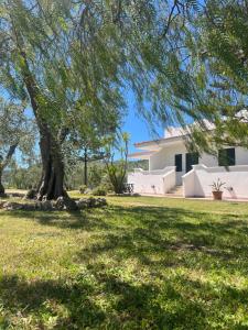 Сад в Villa Angela case vacanza