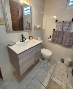 ein Bad mit einem Waschbecken und einem WC in der Unterkunft Ocean front Vacation home near el Rain forest in Luquillo