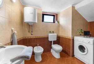 a bathroom with a toilet and a sink and a washing machine at Apartment with Whirlpool and BBQ near Poreč in Baderna