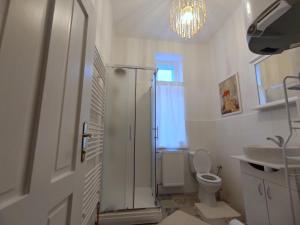 W łazience znajduje się prysznic, toaleta i umywalka. w obiekcie VILA OPOČNO w mieście Opočno