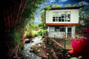 una casa en una colina junto a un río en Rainforest Cabin in Escazu, en Escazú