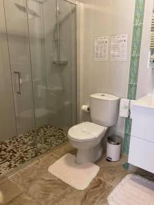 a bathroom with a toilet and a glass shower at Casa da Avó Fátima in Góis
