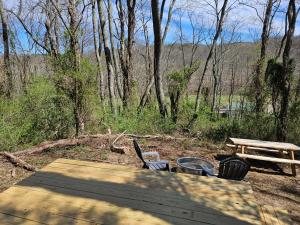 a picnic table and a bench in the woods at Cardinal Cove Campsite at Hocking Vacations - Tent not included in Logan