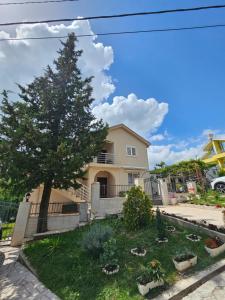 a house with a tree in a yard at Villa RADA in Igalo