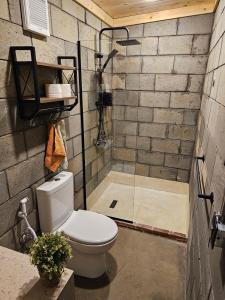 a bathroom with a shower with a toilet and a sink at Lily's motel in El Alamein