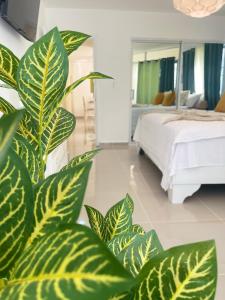 a bedroom with a bed and a large green plant at Promo Viviendas Sol y Mar in Juan Dolio