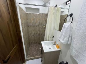 een kleine badkamer met een douche en een wastafel bij Apartaloft en el centro 204 in Pereira