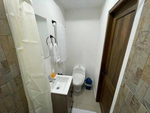 een witte badkamer met een wastafel en een toilet bij Apartaloft en el centro 204 in Pereira