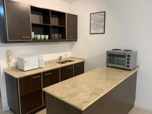 Η κουζίνα ή μικρή κουζίνα στο Monumental & Fleni Exclusive Apartment with Pool and Gardens