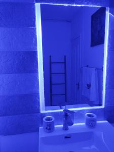 een badkamer met een spiegel en een wastafel bij Morsky Vanek Apartment in Flic-en-Flac