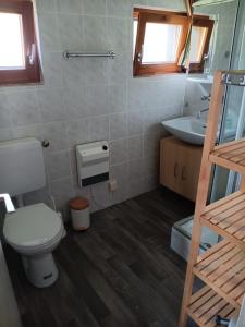 a bathroom with a toilet and a sink at Gemütliches Ferienhaus im Grünen in Bernau im Schwarzwald