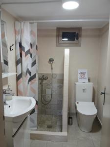 a bathroom with a sink and a toilet and a shower at Kanela House in Nea Kalikratia