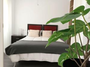 une chambre avec un lit et une plante au premier plan dans l'établissement Apartamento vacacional Cuarteles, à Malaga