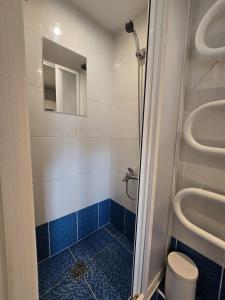 a bathroom with a shower with a toilet and a sink at R&J Apartment I in Panevėžys