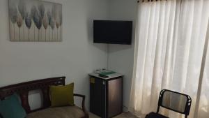 Televisyen dan/atau pusat hiburan di El Hogar de Ami