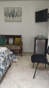 Televisyen dan/atau pusat hiburan di El Hogar de Ami