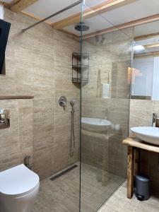 a bathroom with a shower and a toilet and a sink at Meris in Ulcinj