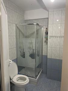 ein Bad mit einer Duschkabine und einem WC in der Unterkunft LiXa Home in Shëngjin