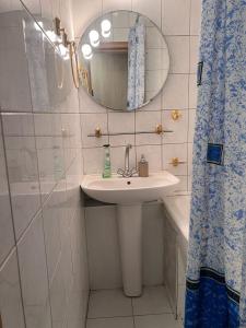 Turksib的住宿－Апартаменты на Ахметова 10，一间带水槽、镜子和淋浴的浴室