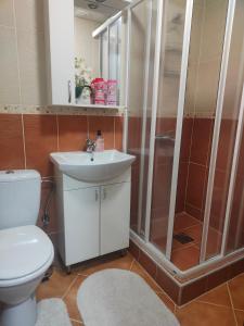 a bathroom with a toilet and a shower and a sink at Apartman Harmonija Vrnjačka Banja in Vrnjačka Banja
