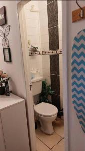 a small bathroom with a toilet and a shower at Fleetway Private Rooms in Central London in London