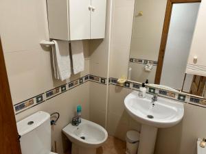 łazienka z umywalką, toaletą i lustrem w obiekcie Homely Apartments Alcatri w mieście Torrevieja