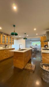 a large kitchen with wooden cabinets and a sink at Hotel Boutique Las Taguas in Constitución