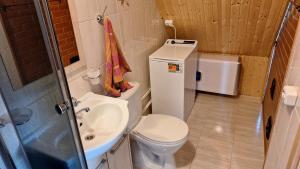 a small bathroom with a toilet and a sink at Plagandõ puhkemaja in Leimani