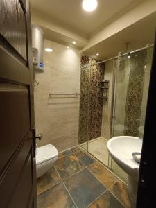 a bathroom with a shower and a toilet and a sink at LUXURY APARTMENT Dokki in Cairo