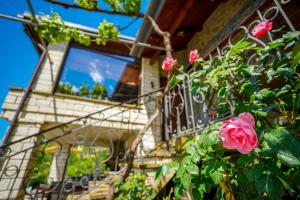 Zahrada ubytování Vila Voula