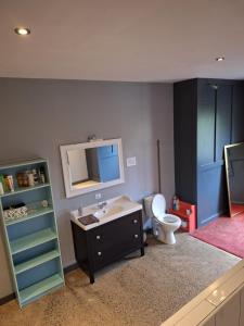 uma casa de banho com um lavatório e um WC em Lus Mor em Roundwood