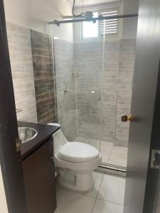 Un baño con inodoro y ducha de cristal. en The Lofts Urbanos Manizales, en Manizales