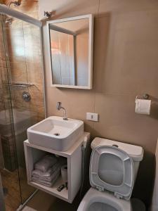 een badkamer met een wastafel, een toilet en een spiegel bij Bella Augusta Hotel in Sao Paulo